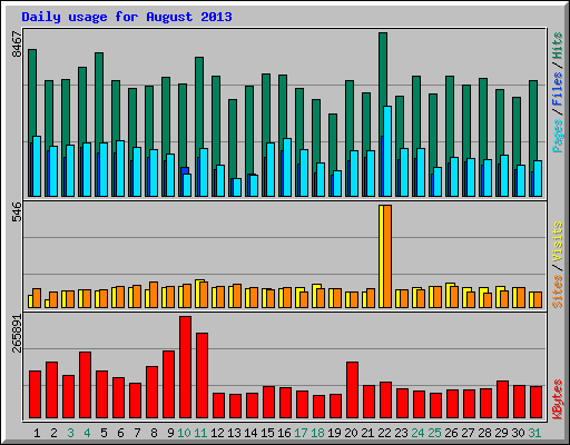 Daily usage for August 2013