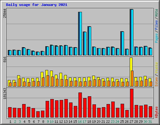 Daily usage for January 2021