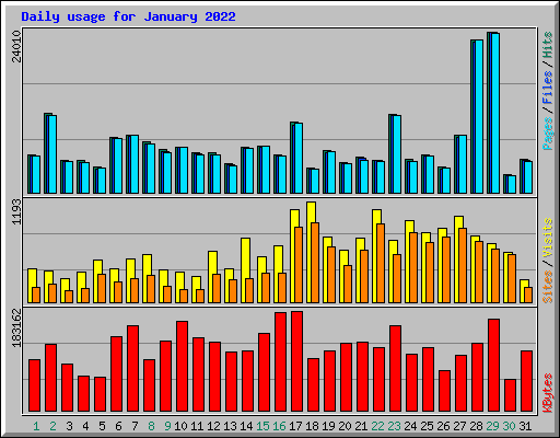Daily usage for January 2022