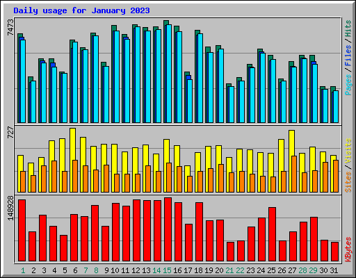 Daily usage for January 2023