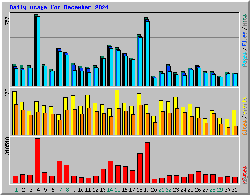 Daily usage for December 2024
