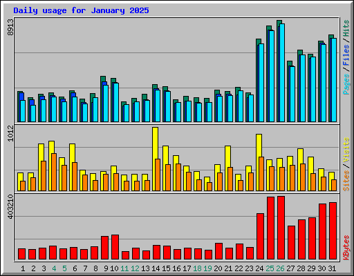 Daily usage for January 2025