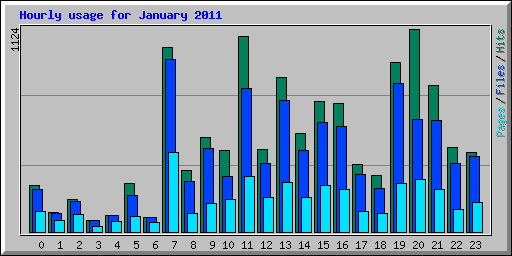 Hourly usage for January 2011