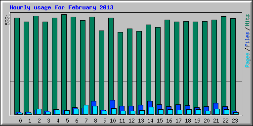 Hourly usage for February 2013