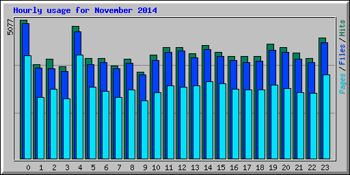 Hourly usage for November 2014