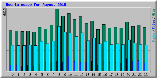 Hourly usage for August 2018