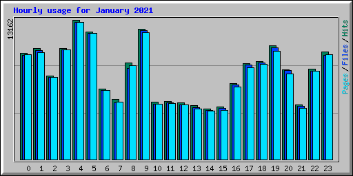 Hourly usage for January 2021