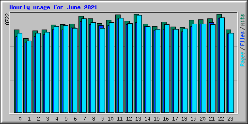 Hourly usage for June 2021