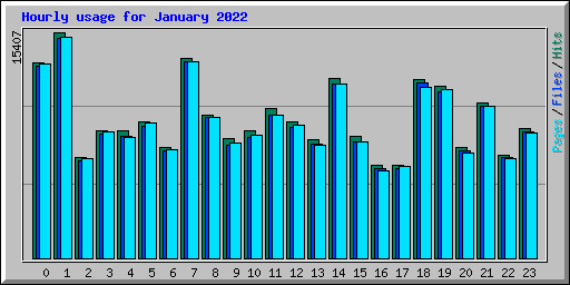 Hourly usage for January 2022