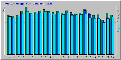 Hourly usage for January 2023