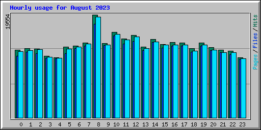 Hourly usage for August 2023