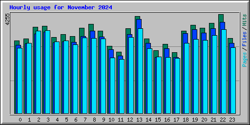 Hourly usage for November 2024
