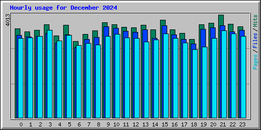 Hourly usage for December 2024