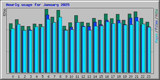 Hourly usage for January 2025