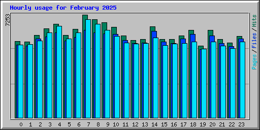 Hourly usage for February 2025