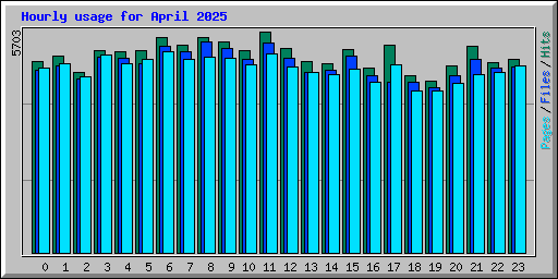 Hourly usage for April 2025