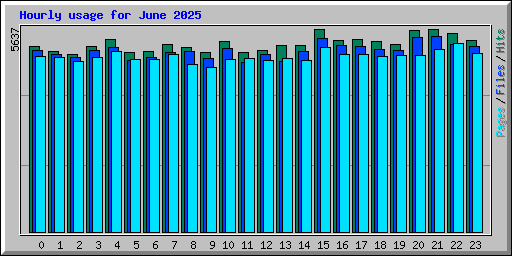 Hourly usage for June 2025