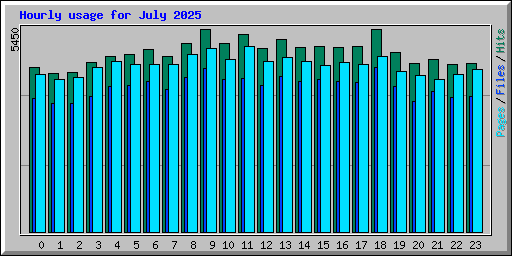 Hourly usage for July 2025
