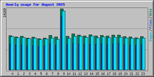 Hourly usage for August 2025