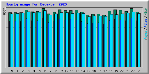 Hourly usage for December 2025