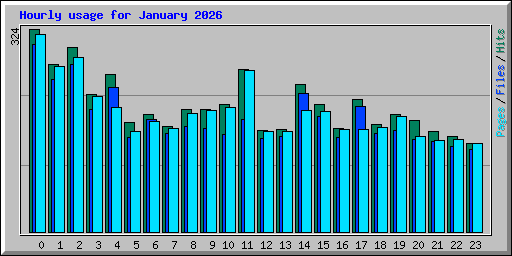 Hourly usage for January 2026